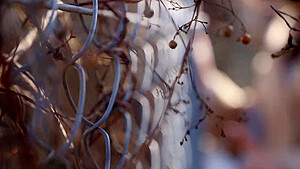 0005505_JAV_JapaneseAV_Censored_MGS_19min