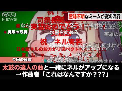 太鼓の達人の曲と共にネルが徐々にアップになる動画、なぜかめちゃくちゃ流行ってしまうwwww サムネイル