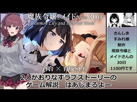魔族令嬢とメイドさんの30日 解説動画【Demon Lily and the Noir Maid】 サムネイル
