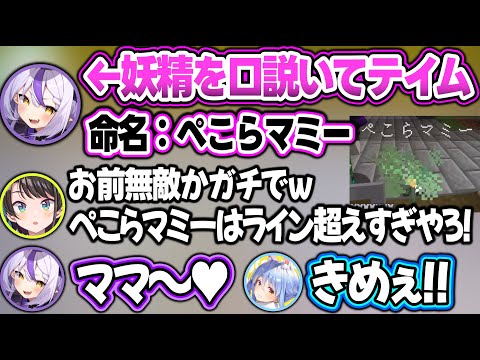 10分かけて口説き落とした妖精に『ぺこらマミー』と命名してツッコまれるラプラスw【＃ホロドラゴンマイクラ/兎田ぺこら/ラプラス・ダークネス/姫森ルーナ/猫又おかゆ/大空スバル/ホロライブ/切り抜き】 サムネイル