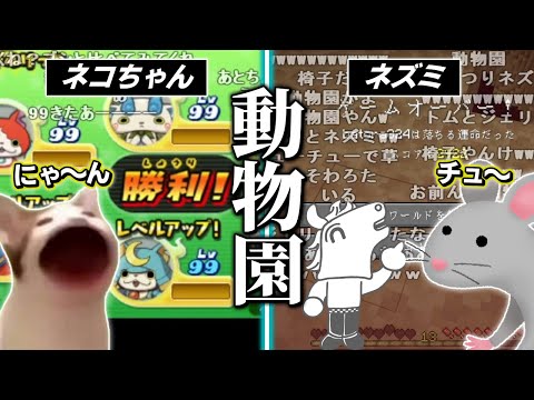 ネコだけでなくネズミの霊にも取り憑かれているバトラ【2025/12/02】 サムネイル