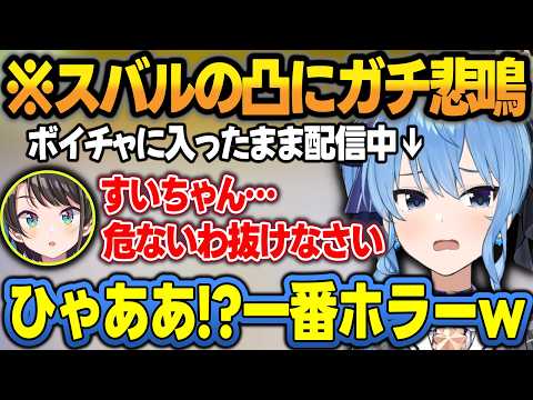 バイオハザード中にスバルが凸しに来て今日一のホラーを体験するすいちゃんw【星街すいせい/大空スバル/ホロライブ/切り抜き】 サムネイル