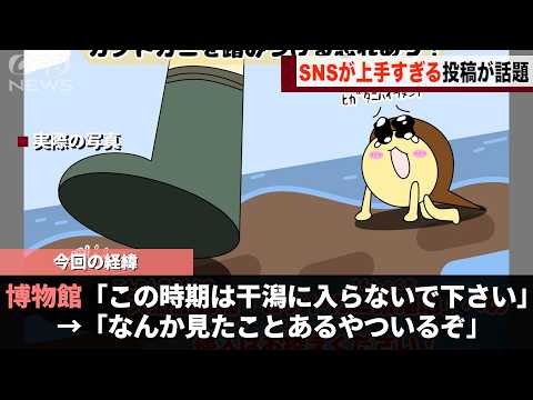 岡山県にある博物館がしたX投稿、なんか見覚えのあるやつがいると話題になるwwww サムネイル