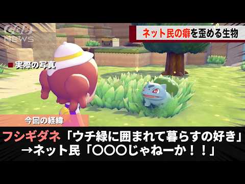 ポケモンの新作のフシギダネ、あまりにも〇〇〇っぽいということが話題になるwwww サムネイル