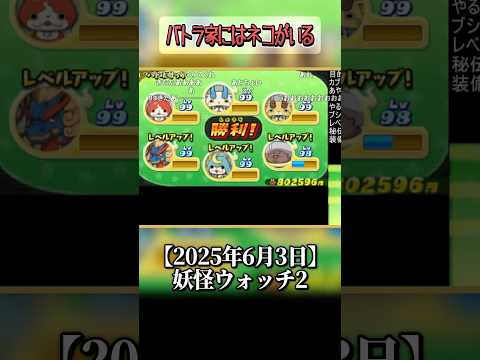 【原因不明】いるはずがないネコ【バトラ/#shorts】 サムネイル