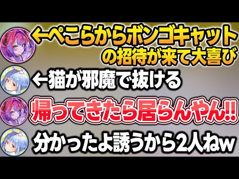 最近ぺこらがハマっているボンゴキャットで痴話喧嘩に発展するぺこヴィヴィw【兎田ぺこら/綺々羅々ヴィヴィ/ホロライブ/切り抜き】 サムネイル