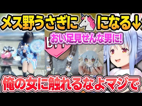 【参戦服鑑賞】野うさぎが群れる事と、メス野うさぎに近づく輩を絶対に許さないぺこーら【兎田ぺこら/ホロライブ/切り抜き】 サムネイル