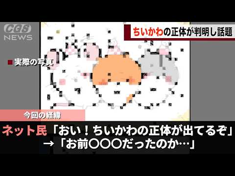 ちいかわ公式、長年謎だったちいかわの正体を明かし話題になるwww サムネイル