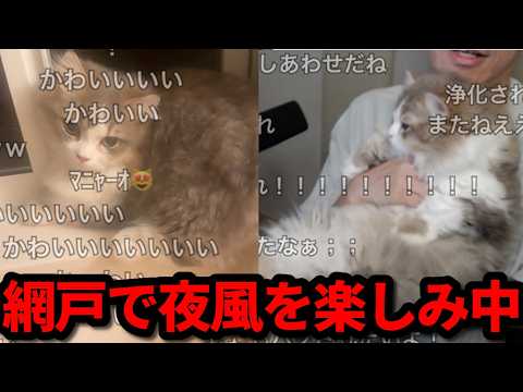 布団ちゃん、本日のテリー君まとめ　2026/05/29 サムネイル