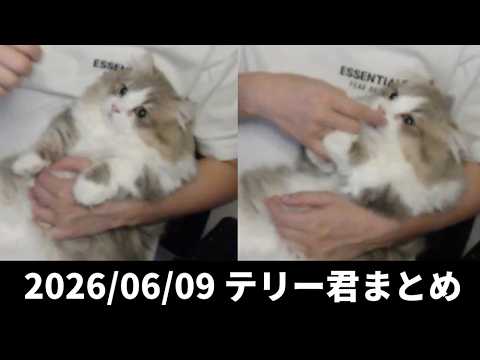 布団ちゃん、本日のテリー君まとめ　2026/06/09 サムネイル