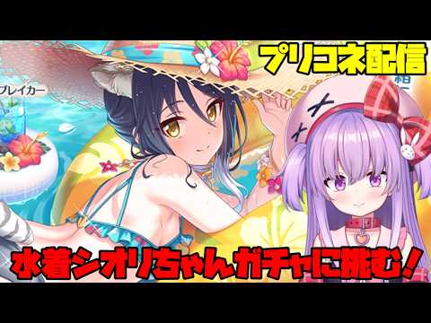 水着シオリちゃんガチャに全力で挑む配信！【#プリコネ 】#vtuber サムネイル